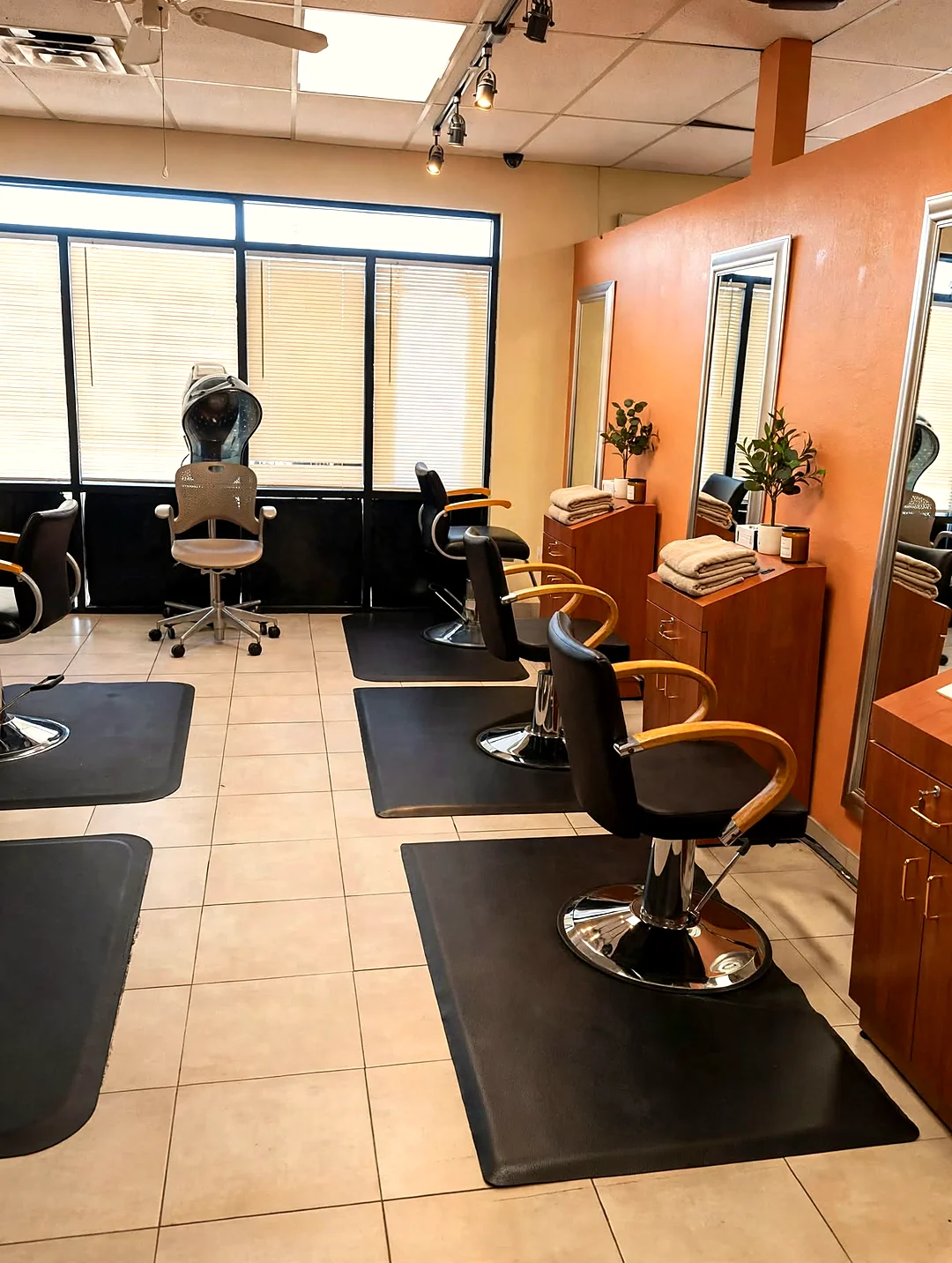 Estaciones de Estética Venus
